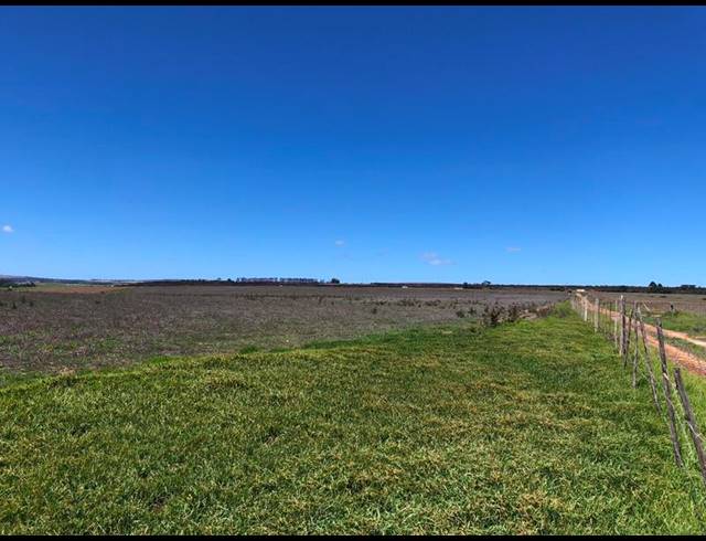 FARM FOR SALE IN BAARDSKEERDERSBOS